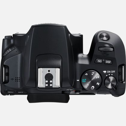 Canon EOS 250D SLR Camera Body – image 4