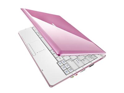 Samsung NC10-JC04 Intel Pentium Mobile N270 Netbook