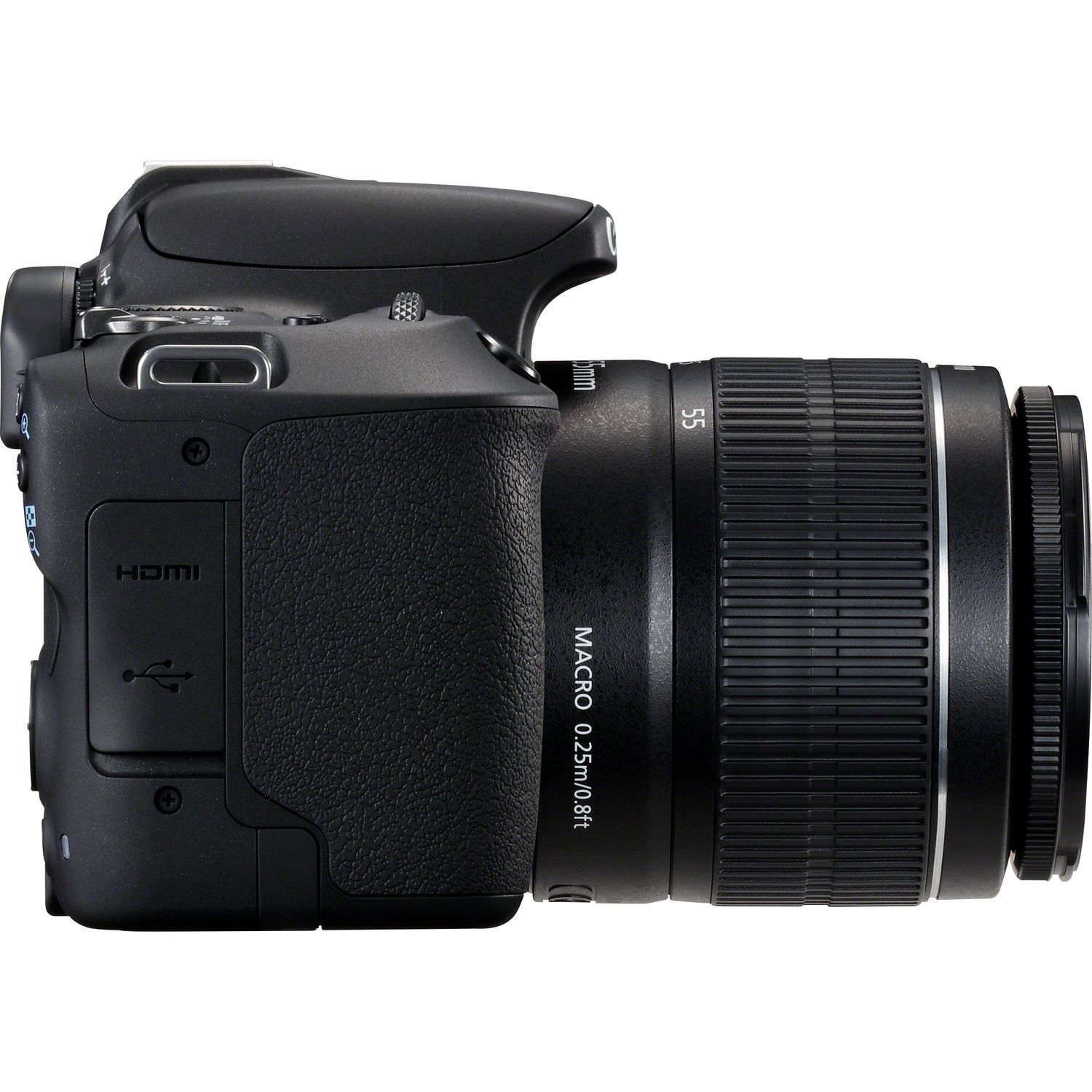 Canon EOS 200D + EF-S 18-55mm f/3.5-5.6 III – image 5