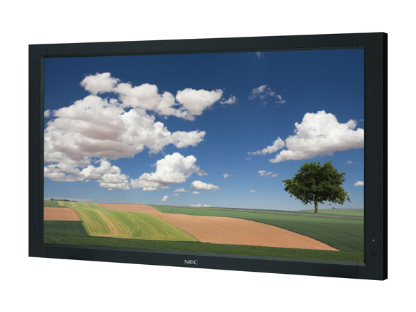 NEC P702 computer monitor – image 2