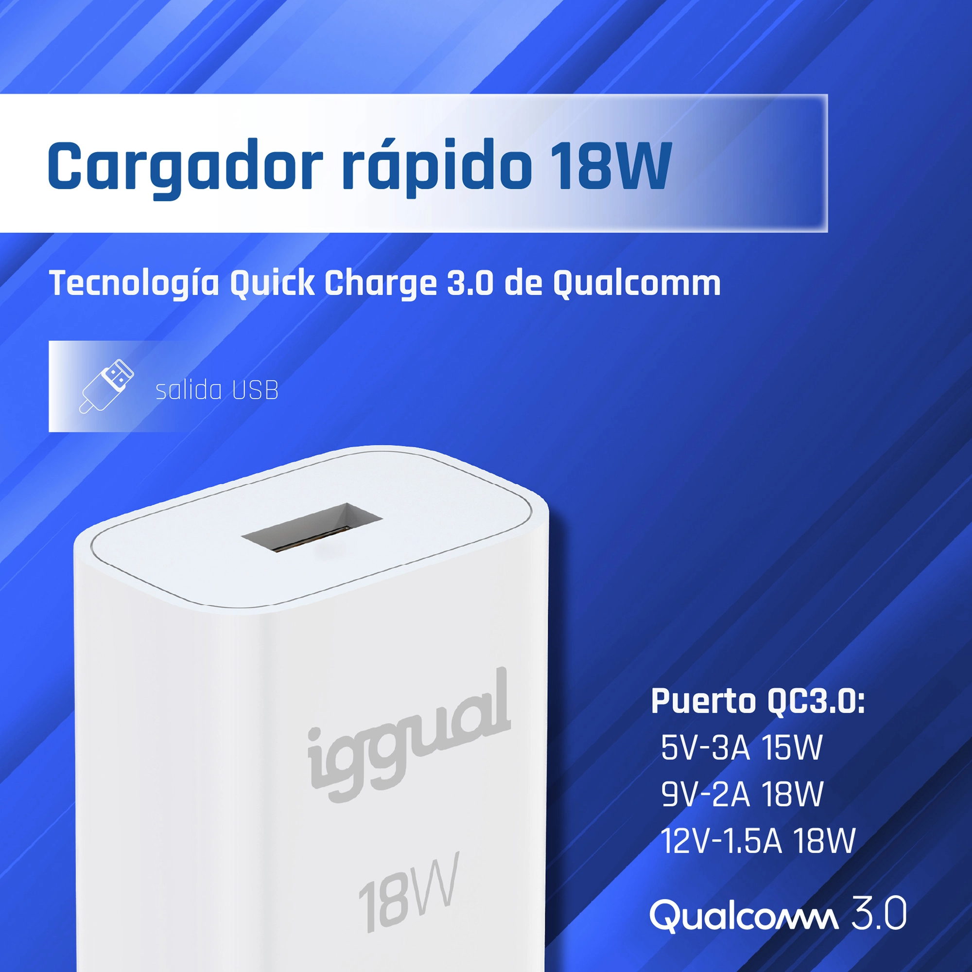 iggual IGG317174 mobile device charger Universal White USB Fast charging Indoor – image 2