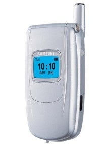 Samsung S500 80 g Silver