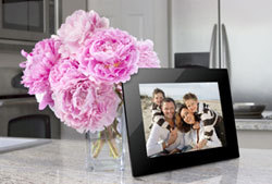 Viewsonic VFM823-50 digital photo frame Black – image 3
