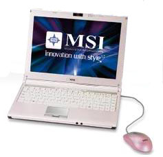 MSI PR210YA-T5816VHP - rosado