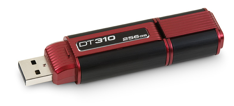 Kingston Technology 310 256GB – image 5