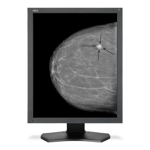 NEC MD215MG computer monitor – image 3