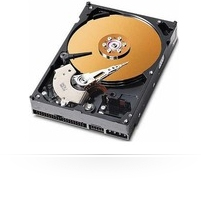 CoreParts 300GB 3.5" PATA
