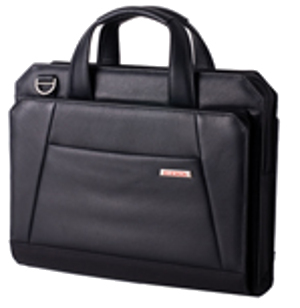 Fujitsu Director-Executive Plus