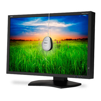 NEC MultiSync PA301W-BK-SV