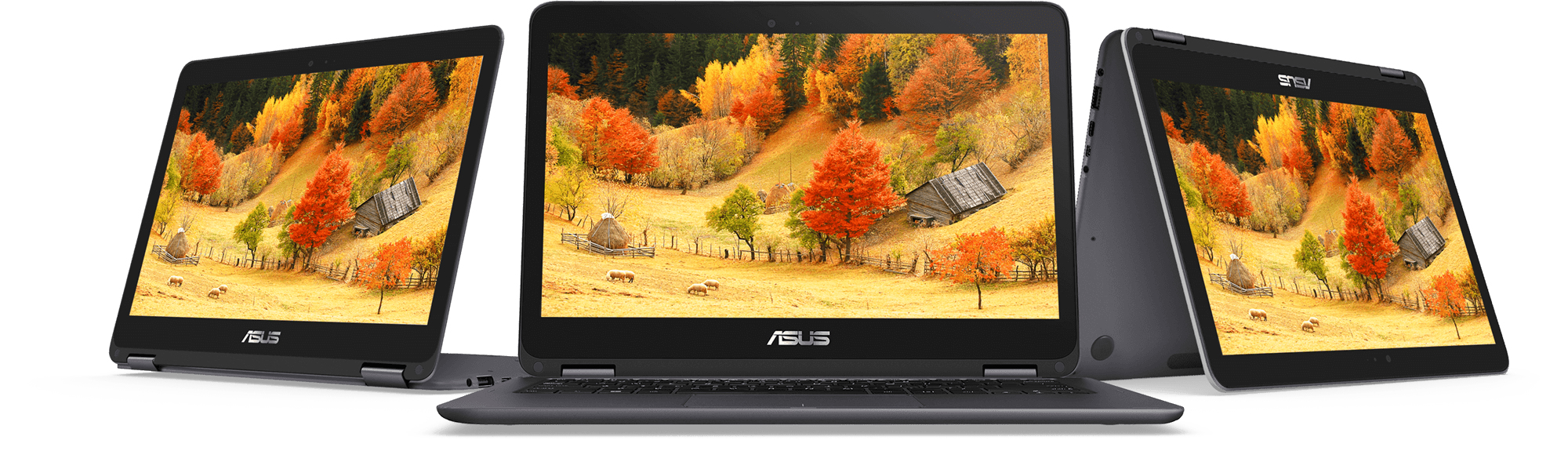 ASUS Zenbook Flip UX360CA-C4185T laptop Intel® Core™ i7 i7-7Y75 Hybrid (2-in-1) – image 6