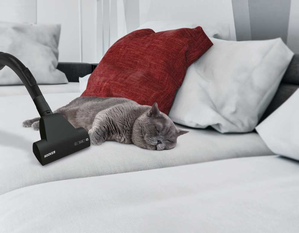 Hoover PC22PET 011 – image 5