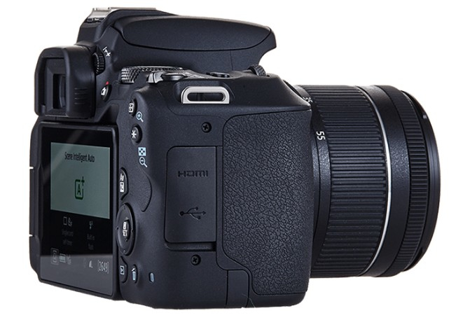 Canon EOS 200D + EF-S 18-55mm f/4-5.6 IS STM + EF 50mm f/1.8 STM – image 5