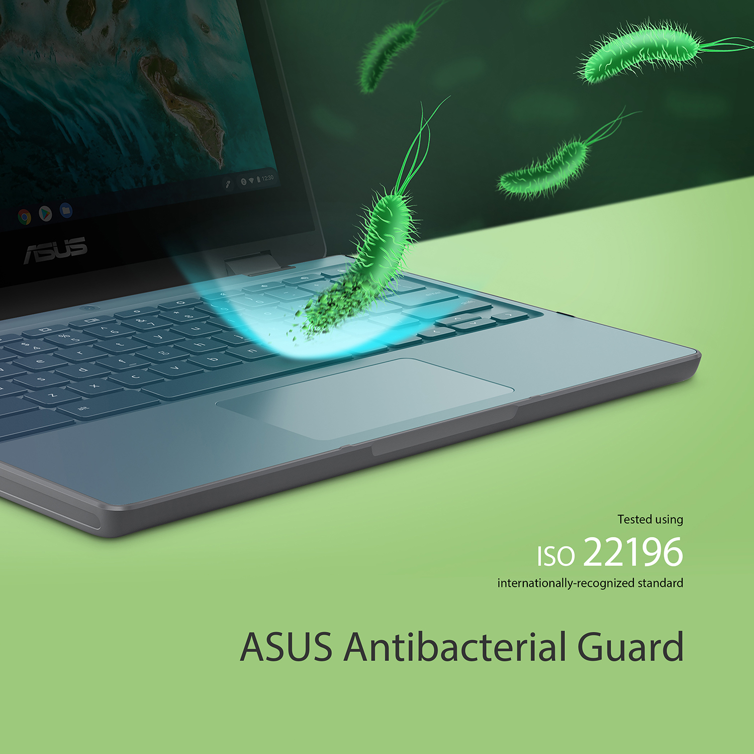ASUS Chromebook Flip CR1 CR1100FKA-BP0745 Intel® Celeron® N N4500 – image 8