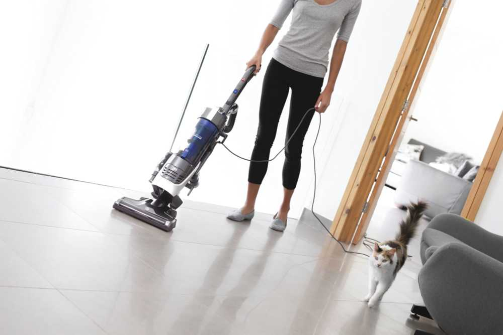 Hoover HL700P 001 – image 2