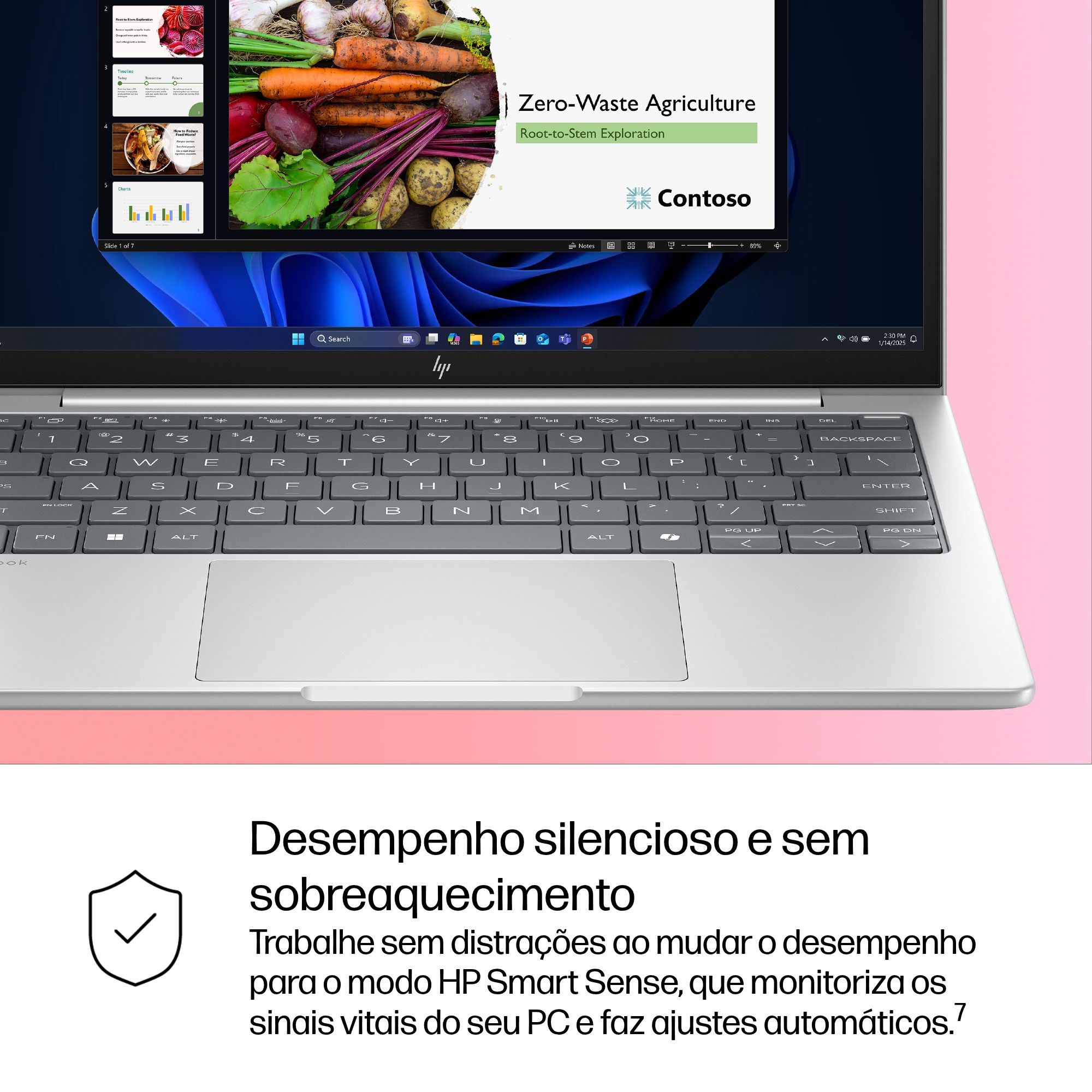 Miniatura 12