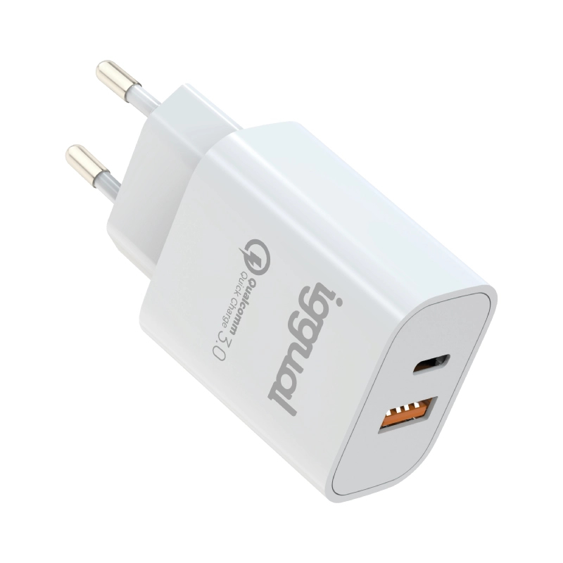 iggual IGG317419 mobile device charger Universal White USB Fast charging Indoor