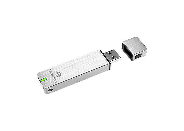 Kingston Technology Basic S250