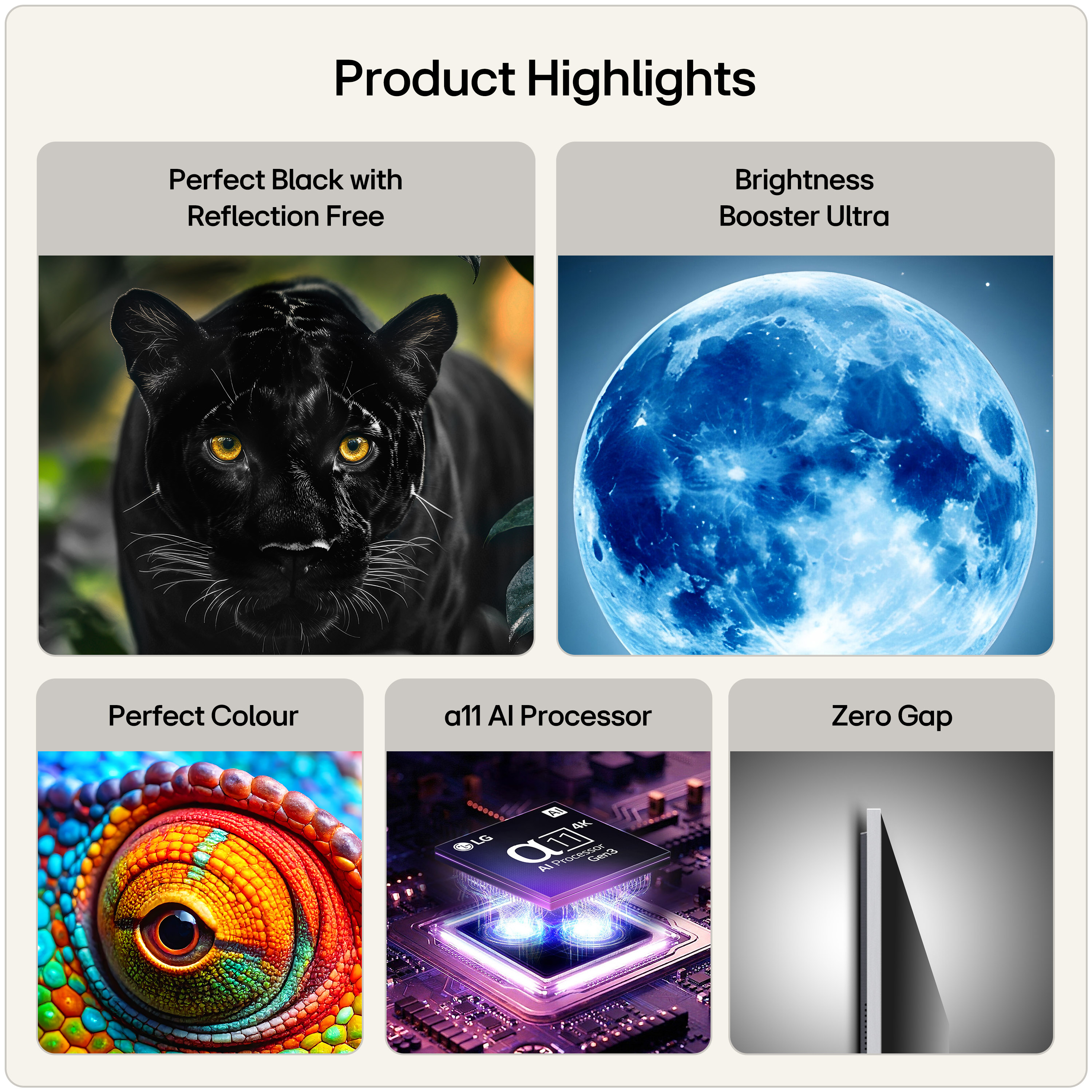 Product Gallery