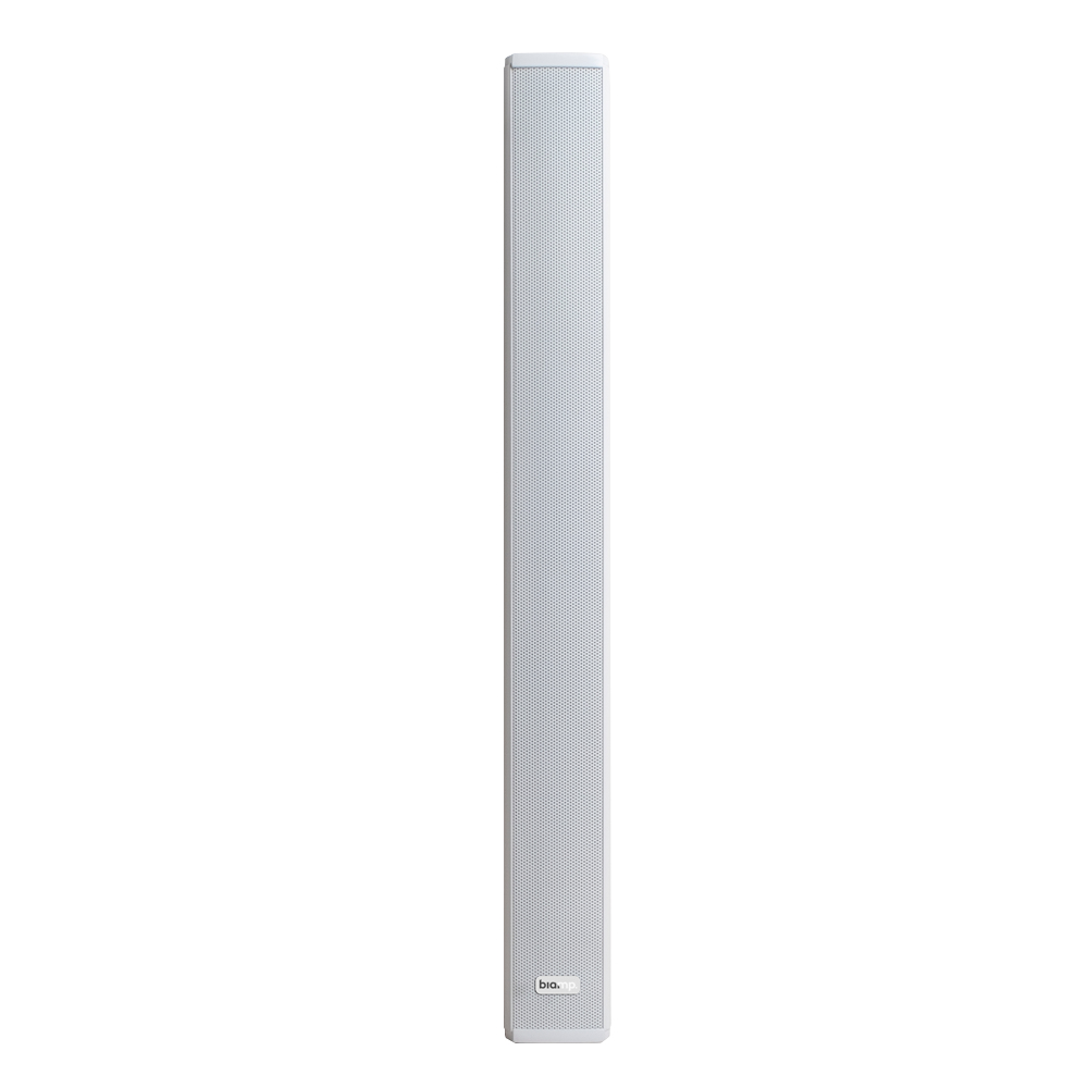 Biamp Desono COLS81 2-way Silver Wired