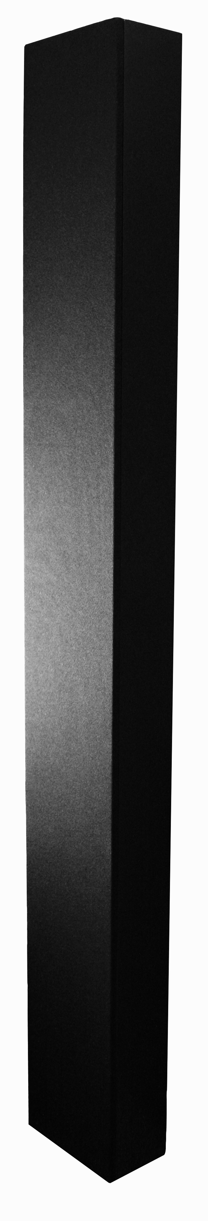 CASSE PER DISPLAY NEC SP-65SM