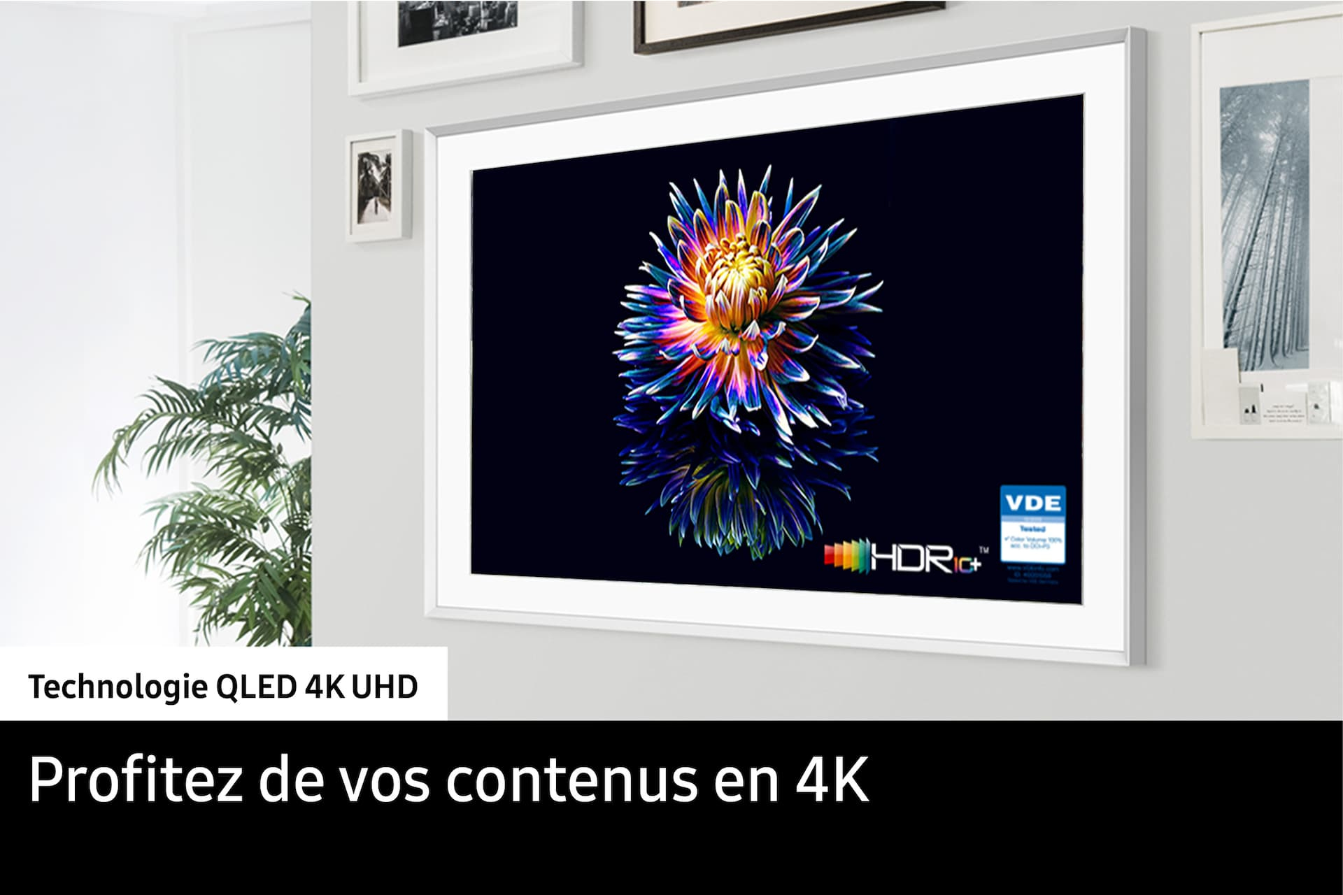 SAMSUNG TQ55LS03D Smart TV The Frame Lifestyle 55 (139cm) 4K UHD — photo 7
