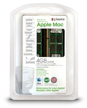 Kingston Technology 4GB DDR3 1066 MHz
