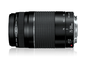 Canon EOS 1200D + 18-135 IS STM + 75-300 III + Bag + SD 4GB – image 5
