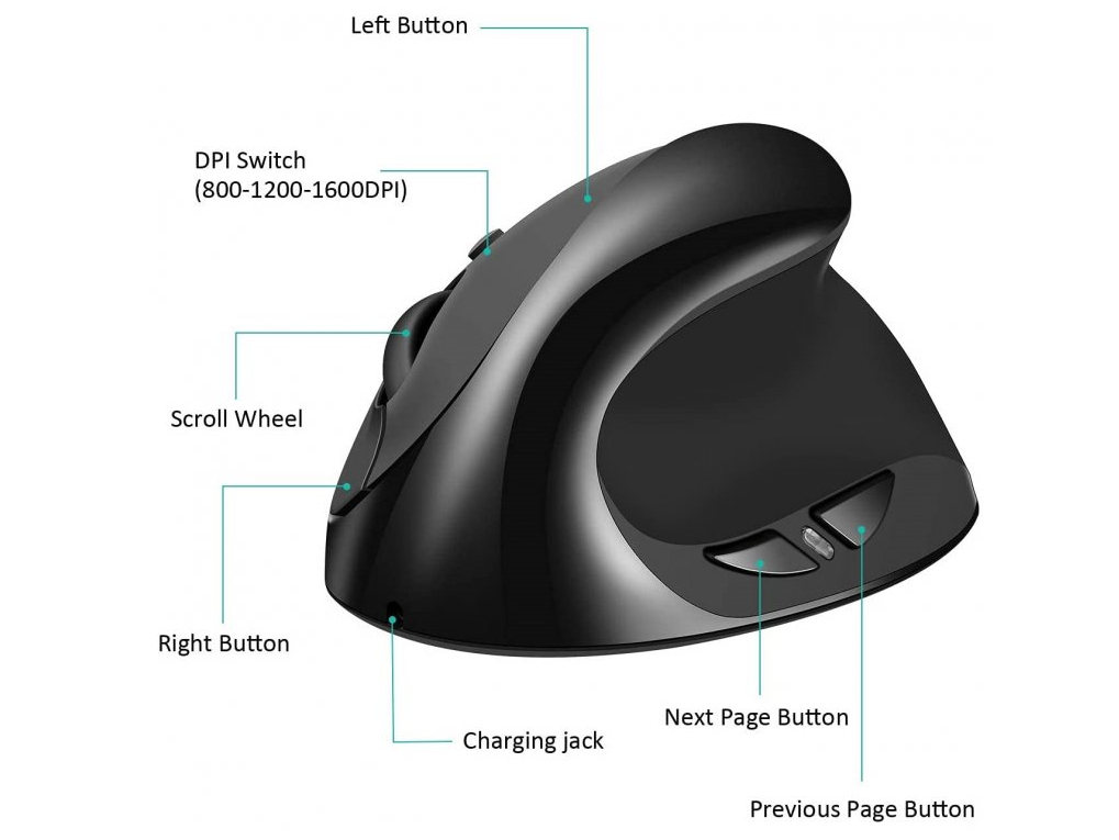 Kenson Comfi 2 – image 4