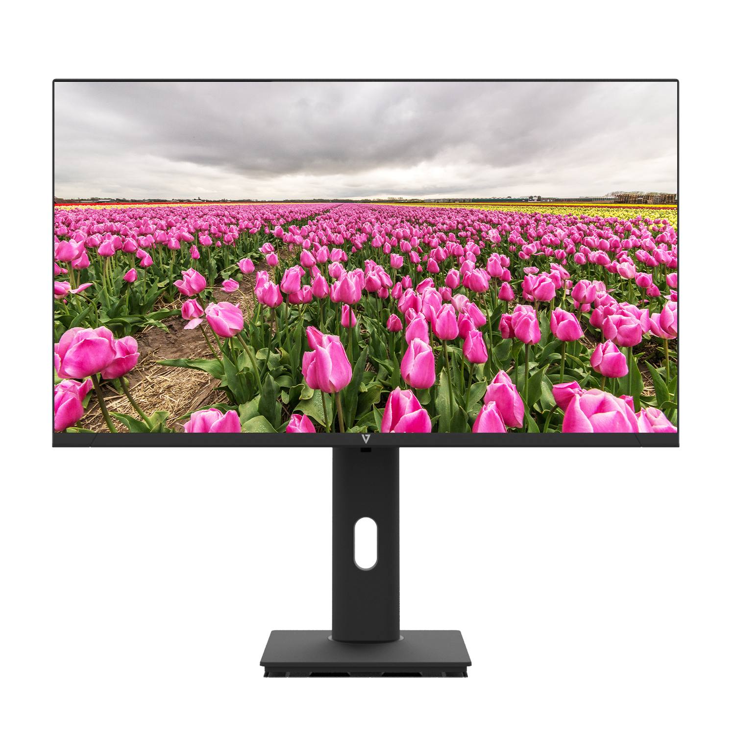 V7 Monitor LED IPS 23.8 FHD 1920x1080 (23.8IN HT ADJUST MONITOR HDMI - 100HZ 1080P FHD IPS VGA SPEAKER)