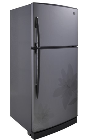 Daewoo DFR-1620DIT fridge-freezer Freestanding – image 2