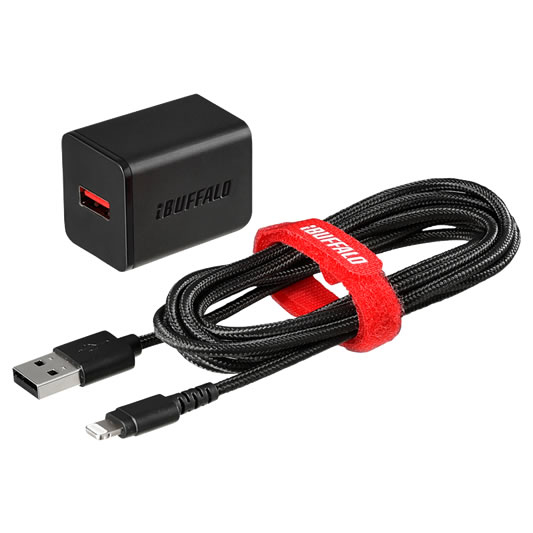 Buffalo BSMPA2404LC2BK mobile device charger Universal Black AC Indoor