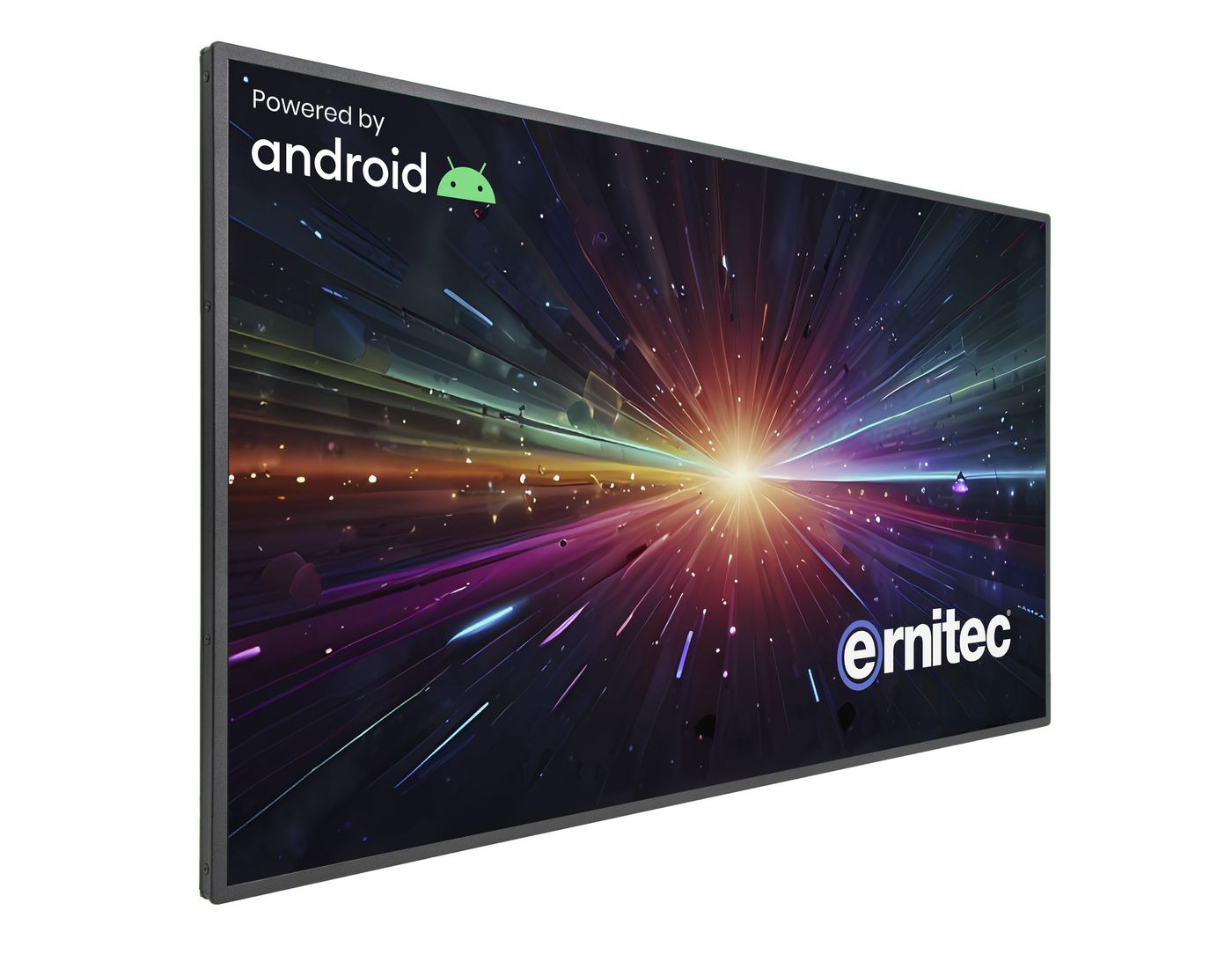 Ernitec 0070-24155-WI-AD computer monitor – image 3