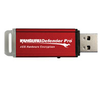 iStorage Defender Pro 4GB