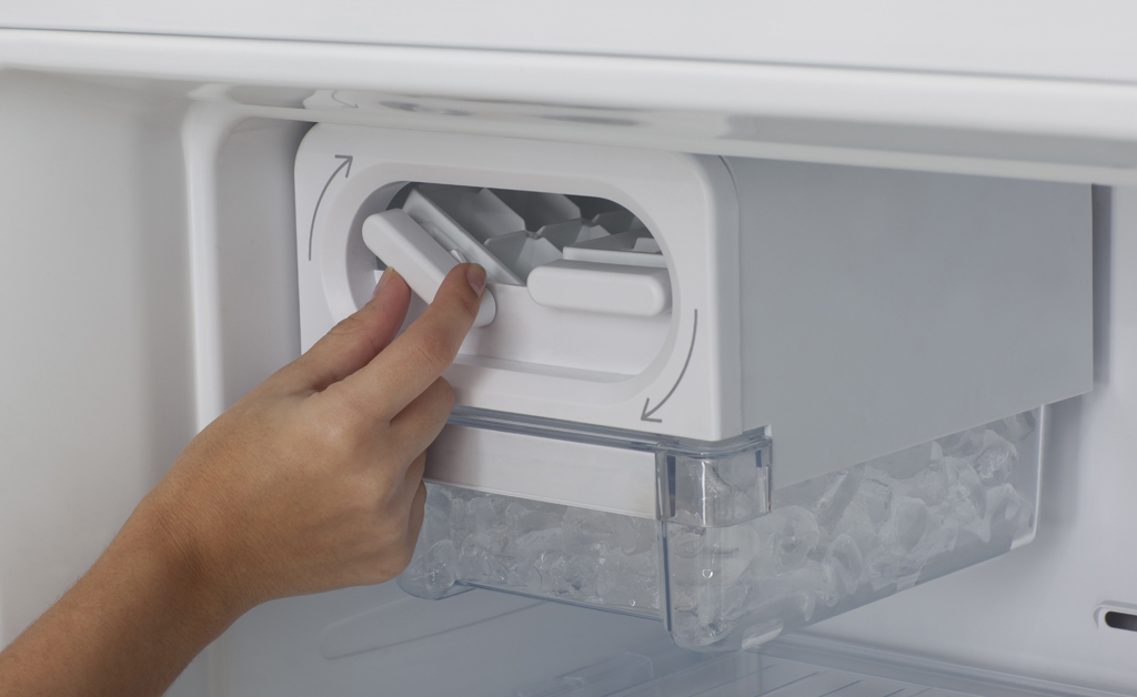 Electrolux ERT164EG fridge-freezer Freestanding – image 9