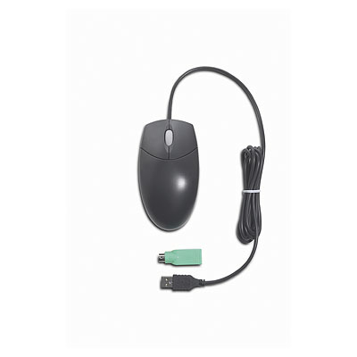 HP 304196-001 mouse Office USB Type-A + PS/2 Optical
