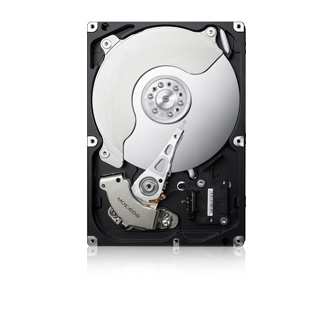 Samsung Spinpoint F3 HD163GJ internal hard drive