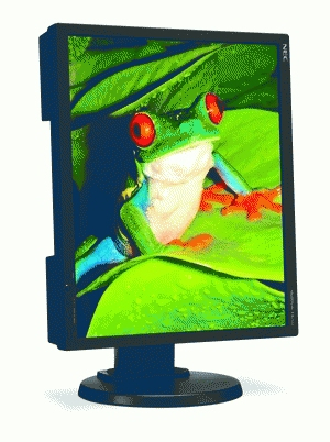 NEC MultiSync EA190M – image 3