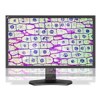 NEC MultiSync MD322C8 computer monitor – image 3