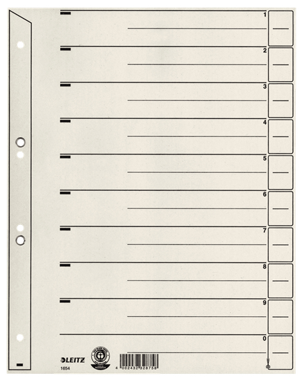 Leitz 16540085 scheda per indice Grigio