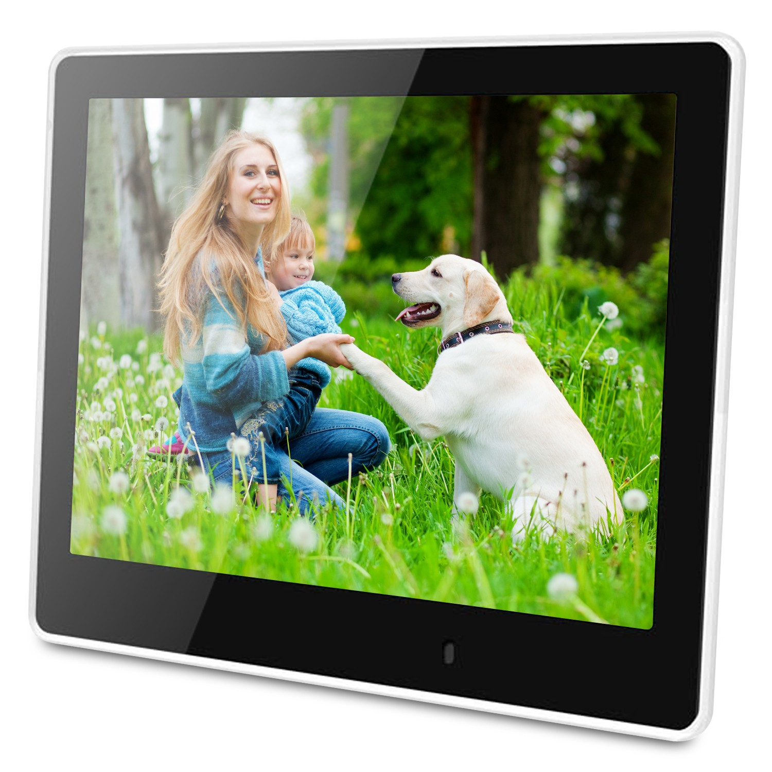 Viewsonic VFM820-50 digital photo frame Black