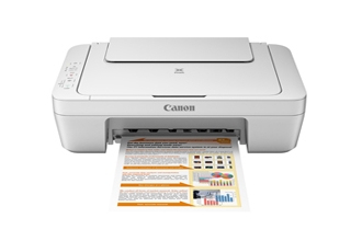 Canon PIXMA MG2510 multifunction printer Inkjet A4