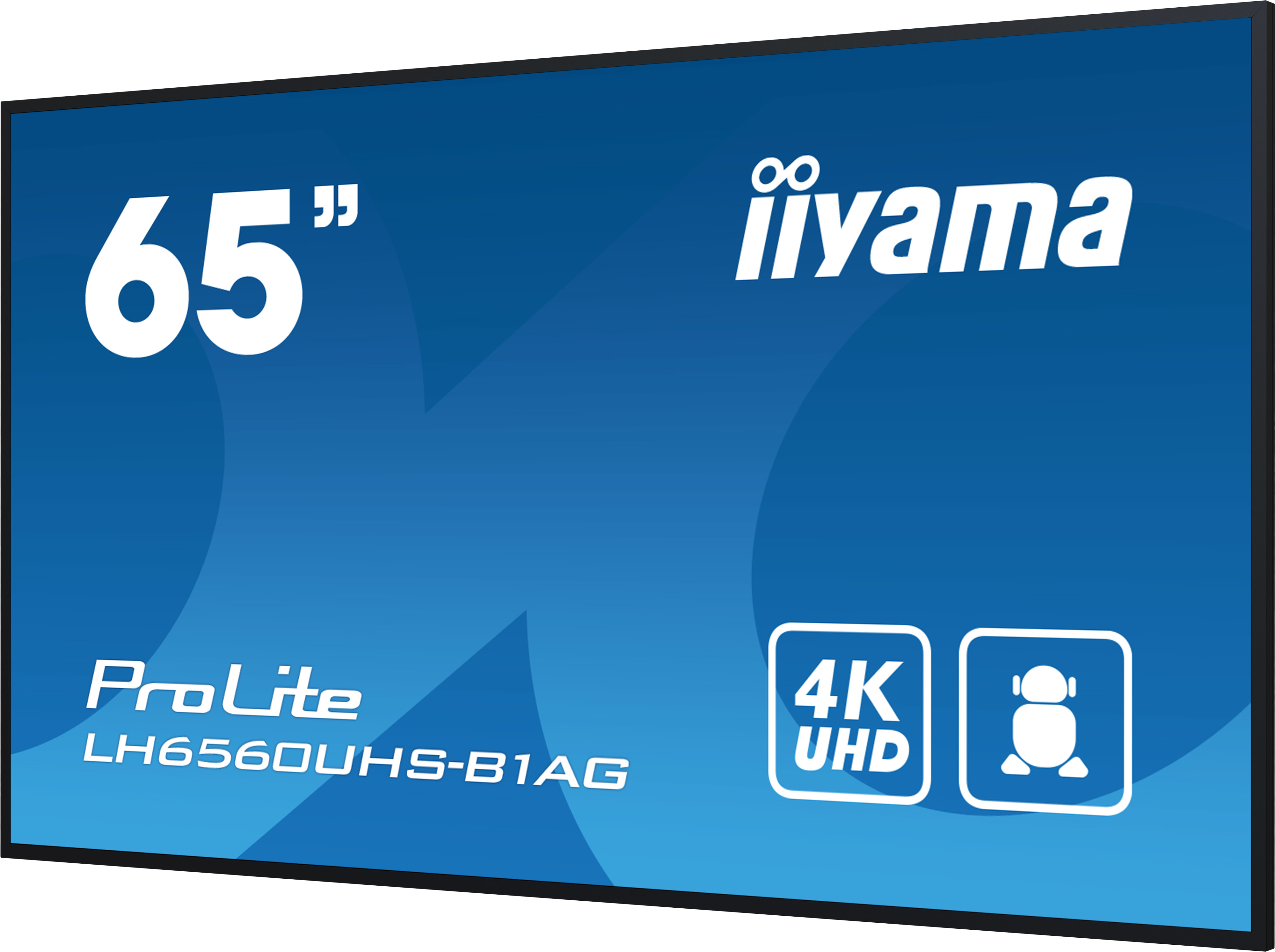 Écran LCD LED 65 IIYAMA ProLite LH6560UHS B1AG 4K UHD Lecteur multimédia SoC Noir — photo 7