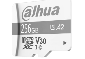 Dahua Technology P100 256 GB MicroSD UHS-I Класс 10