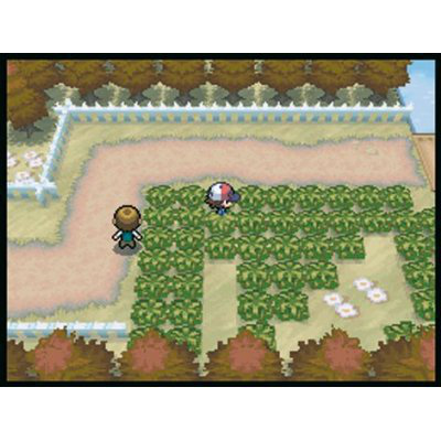 Nintendo DSi + Pokémon: Black – image 6