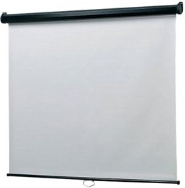 Dell 725-BBBO projection screen 2.51 m (99") 4:3