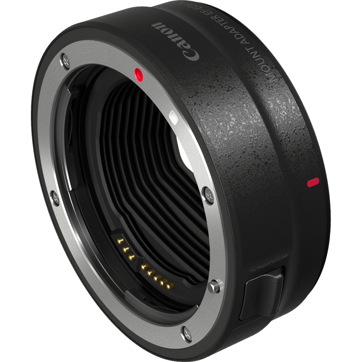 Canon EOS R + EF to RF adapter + RF 24-105mm f/4L IS USM – image 7