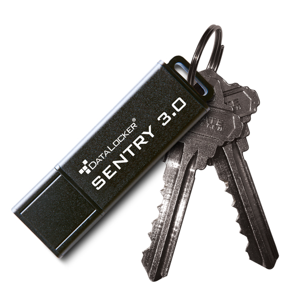 Origin Storage DataLocker Sentry 3.0, 64GB – image 2