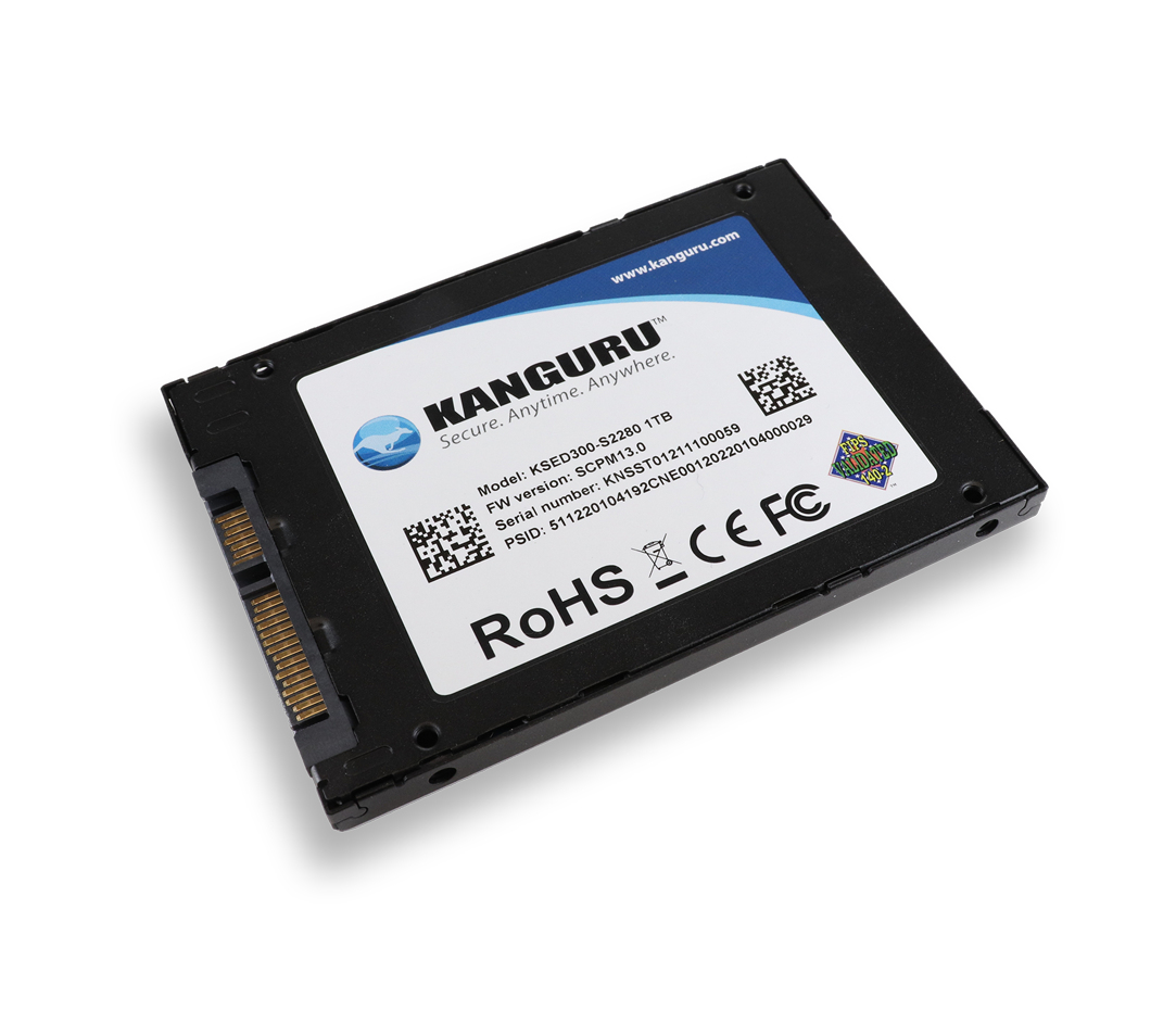 iStorage Kanguru Defender SED300 Hardware-Based Self-Encrypting Internal SATA SSD 1 TB | FIPS 140-2 Level 2 Certified | Self-Encrypting 2.5” SATA SSD |TAA Compliant image 2