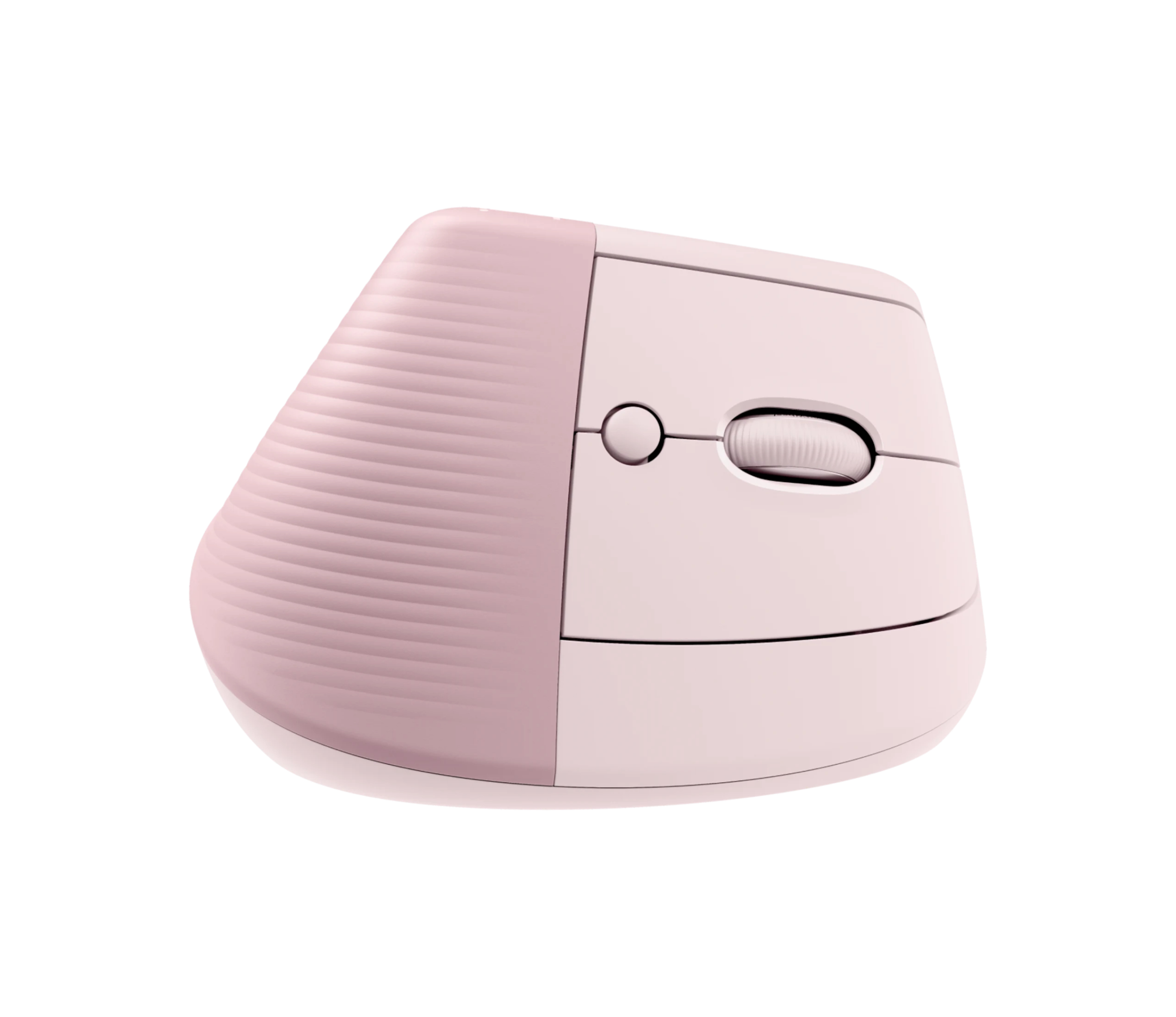 Miniatura 12