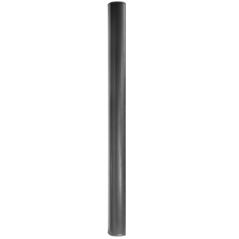 Biamp Desono ENT220 2-way Black Wired 500 W image 1
